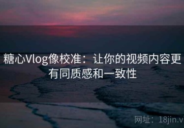 糖心Vlog像校准：让你的视频内容更有同质感和一致性
