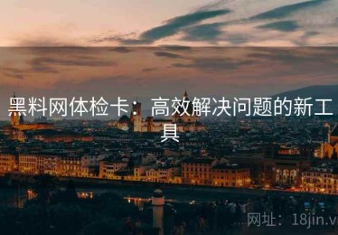 黑料网体检卡：高效解决问题的新工具