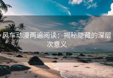 风车动漫两遍阅读：揭秘隐藏的深层次意义