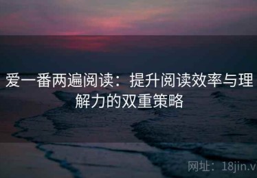 爱一番两遍阅读：提升阅读效率与理解力的双重策略