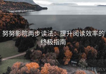 努努影院两步读法：提升阅读效率的终极指南