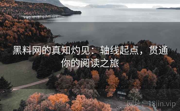 黑料网的真知灼见：轴线起点，贯通你的阅读之旅